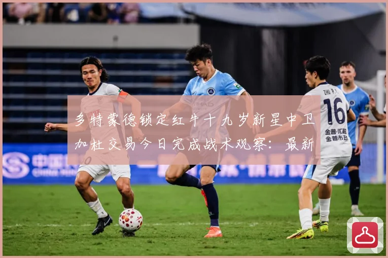 多特蒙德锁定红牛十九岁新星中卫加杜交易今日完成战术观察：最新赛事动态与深度分析